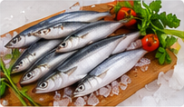 Indian Sardine (Chaala) representative image