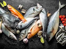 Fish