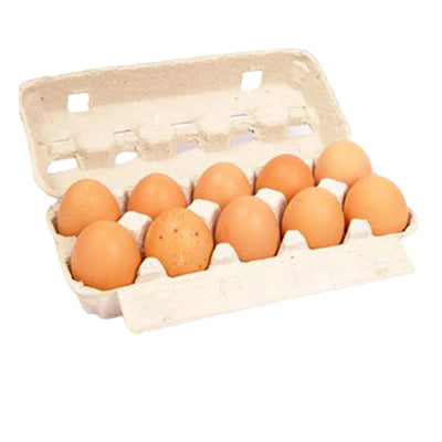 12 EGGS - LARGE SIZE