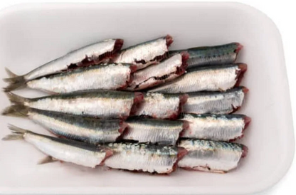 Indian Sardine 1kg