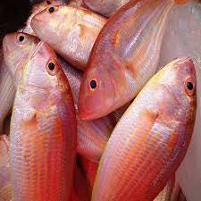 Fresh JTB (Kilimeen) – Cleaned, Curry Cut & Packed 1kg