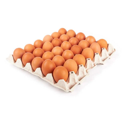 30 EGGS - MEDIUM SIZE