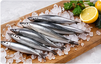 Anchovy (Kozhuva) representative image