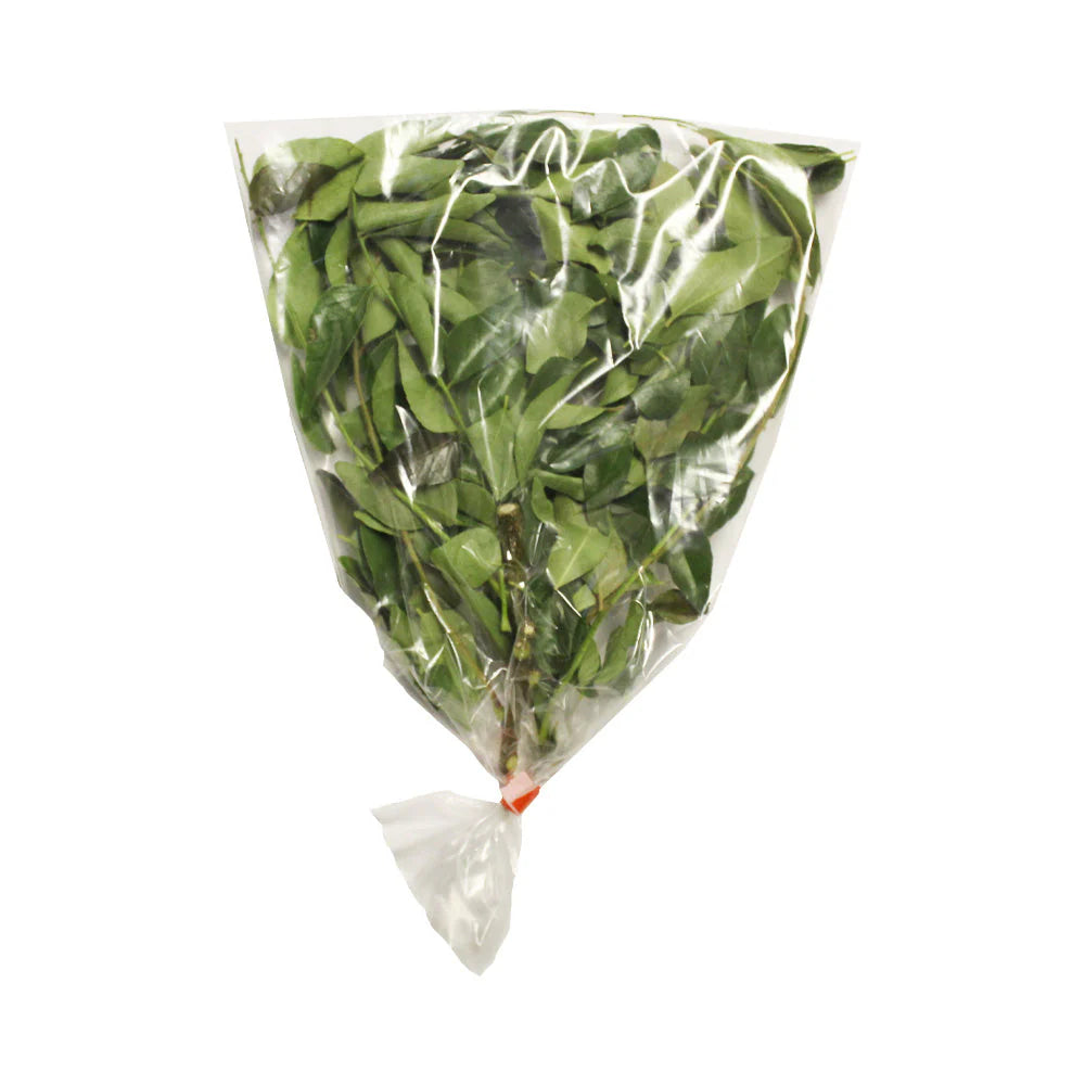 CURRY LEAVES