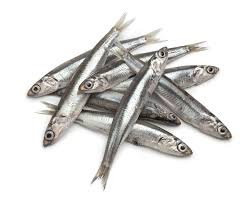 Anchovy 1Kg