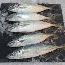 Sowpara 1kg