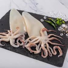 Frozen Squid 600G 2 For 8.99 [Cleaned]