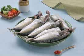 Fresh Indian Mackerel – Cleaned, & Packed 1kg