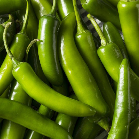 GREEN CHILLI 100G