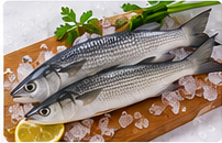 Grey Mullet (Thirutha) representative image