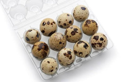 12 QUAIL EGGS