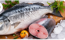 Indian Salmon (Vaameen) representative image