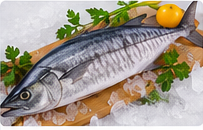 King Fish (Neymeen) representative image