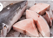 Milk Shark representative image