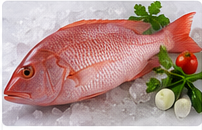 Red Snapper (Chemballi) representative image