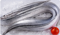 Ribbon Fish (Valla) representative image
