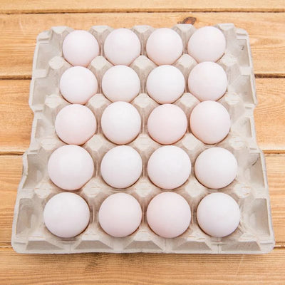 20 Duck Eggs